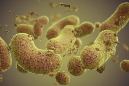 Intestino x Alzheimer: As descobertas apontam apenas para uma conexão entre a composição do microbioma intestinal e a doença.- iStock/Getty Images