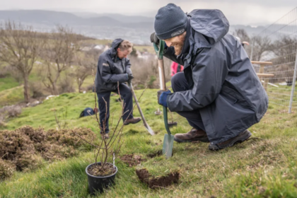 Uma das plantas mais raras do mundo foi reintroduzida na natureza em local secreto