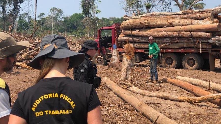 Caminhão com toras de madeira derrubadas por grupo de trabalhadores