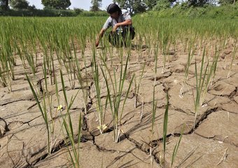 Trabalhadores estão cada vez mais em risco com mudanças climáticas, diz OIT