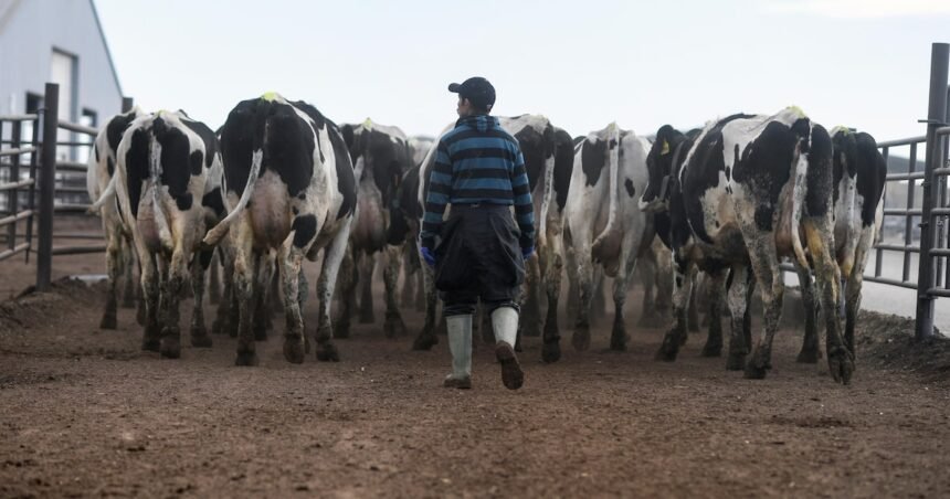 EUA confirmam 3º caso de gripe aviária; autoridades dizem que risco é baixo para a população