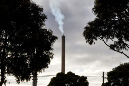 Bloomberg e Viridios Group concluem transação estratégica para dados e análises de créditos de carbono